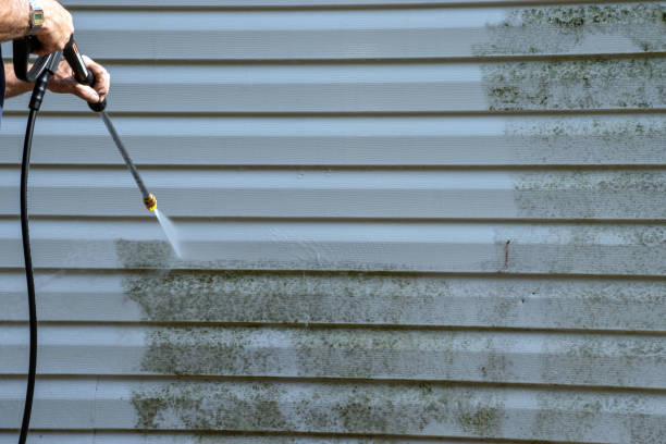 Best Siding Removal and Disposal  in Lake Como, NJ