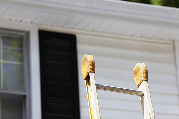 Best Siding Painting and Refinishing  in Lake Como, NJ
