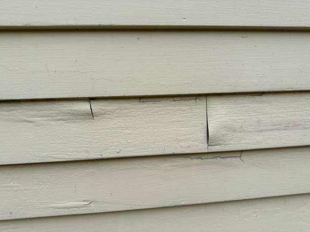Best Brick Veneer Siding  in Lake Como, NJ